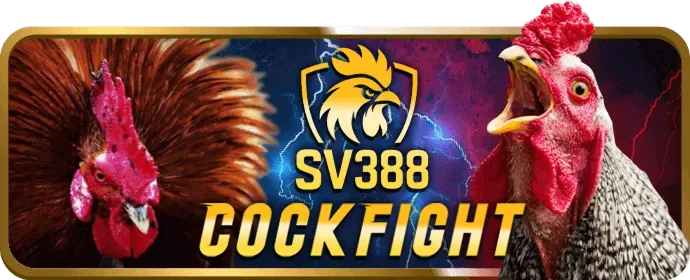 Hoàn Trả Thể Thao tải d79bet